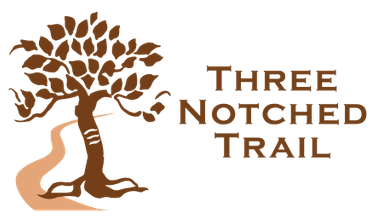 TNT Logo - Website